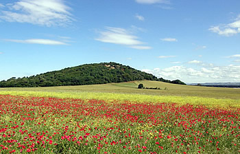 Agriturismo Tuscany