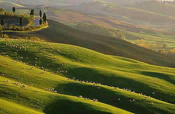 Agriturismo Tuscany